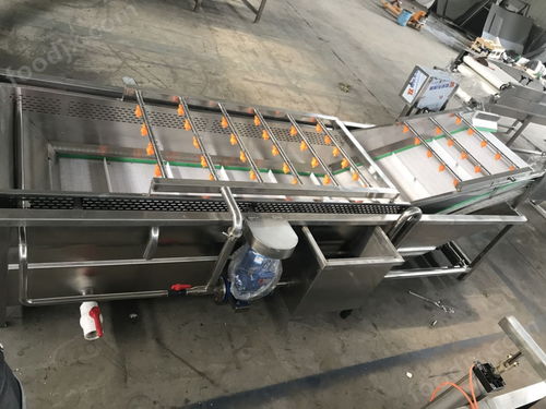 高效清洁新选择 水果蔬菜气泡式清洗机与管道疏通设备的应用与安装