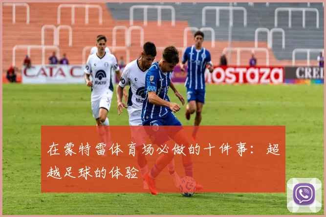 在蒙特雷体育场必做的十件事：超越足球的体验