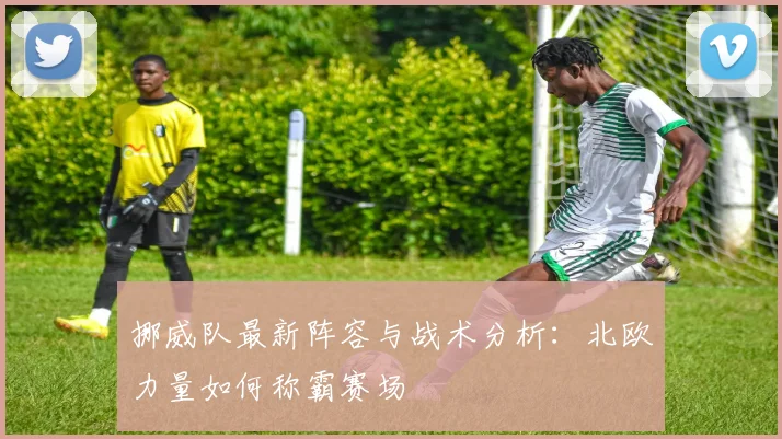 挪威队最新阵容与战术分析：北欧力量如何称霸赛场